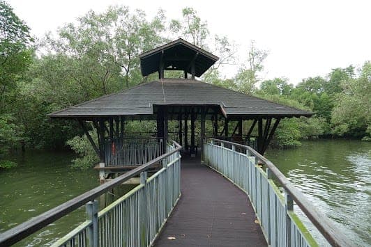 Mangrove Boardwalk
