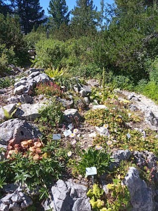 Garmisch-Partenkirchen Botanical Garden
