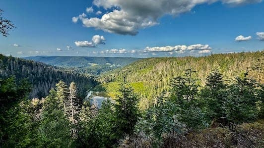Schwarzwald National Park