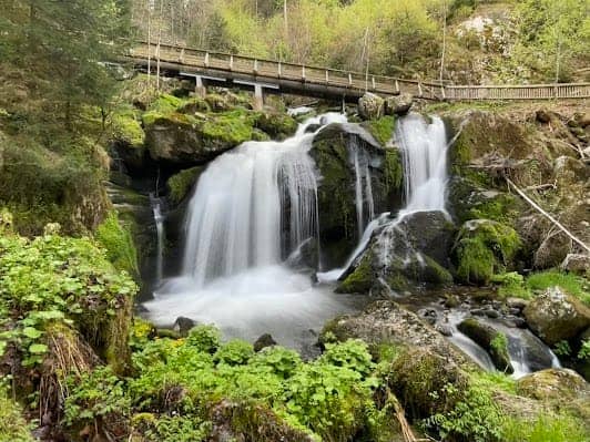 Triberg Waterfalls photo 7