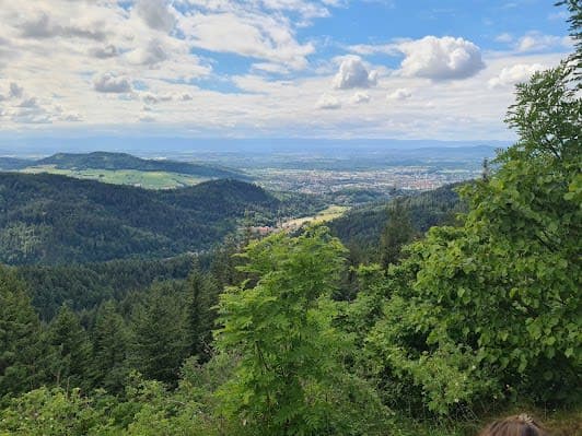 Langenhart bei Freiburg Hike