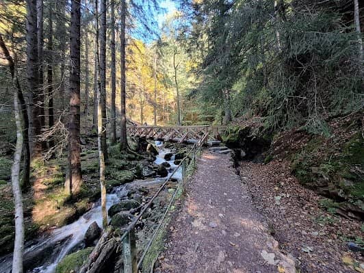 Ravenna Gorge photo 6