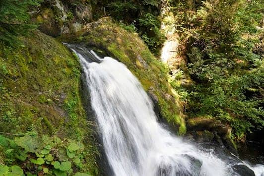 Triberg Waterfalls photo 3