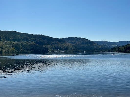 Titisee Lake
