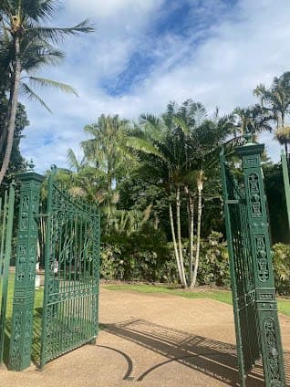 Townsville Palmetum