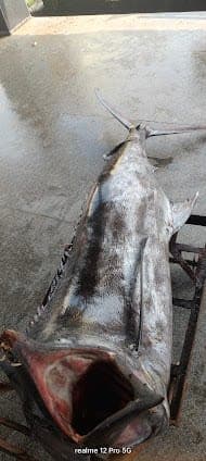 Chettuva Fish Harbour Gate