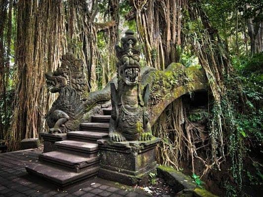 Sacred Monkey Forest Sanctuary photo 6