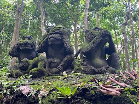 Sacred Monkey Forest Sanctuary photo 7