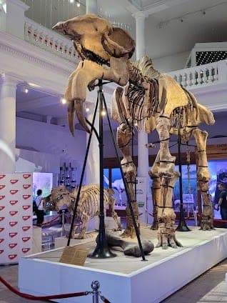 Grigore Antipa National Museum of Natural History