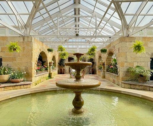 Royal Tasmanian Botanical Gardens photo 7