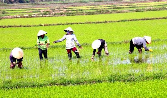 Mekong Delta Day Trip