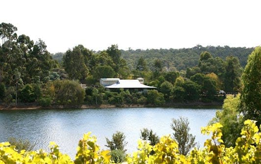 Abbey Vale Vineyard