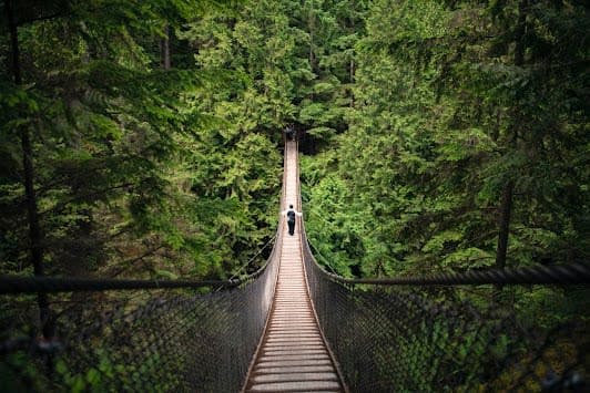 Lynn Canyon Park