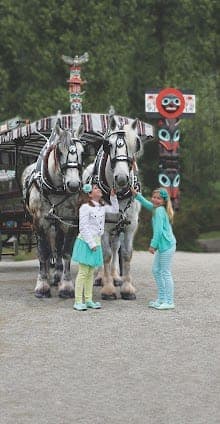 Stanley Park Horse-Drawn Tours
