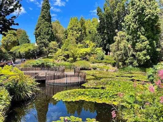 Royal Tasmanian Botanical Gardens photo 4