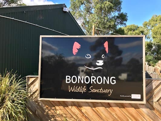 Bonorong Wildlife Sanctuary