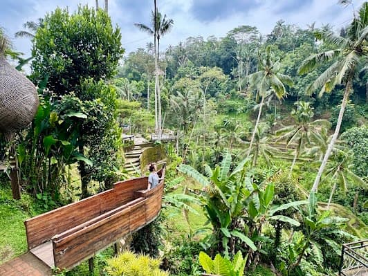 Rice Terrace Trekking & Swing Uma Ceking