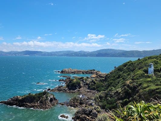 Matiu/Somes Island