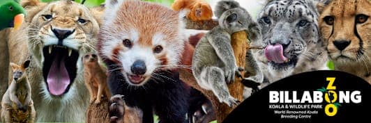 Billabong Zoo