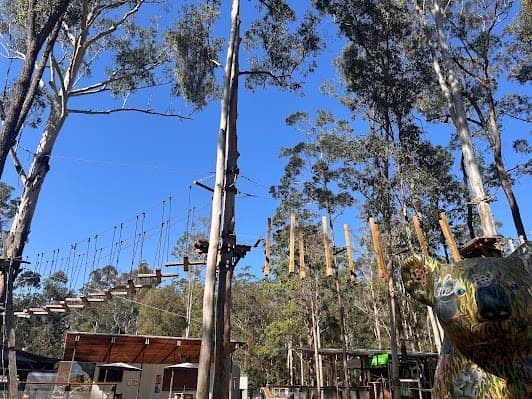 Tackling the Treetops