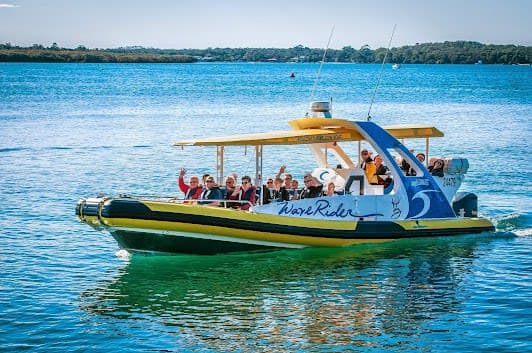 Port Macquarie Whale Watching