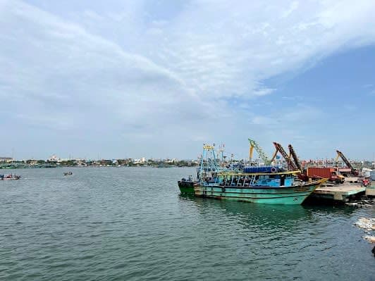 Royapuram Fishing Harbour