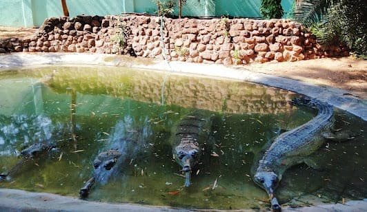 Guindy National Park