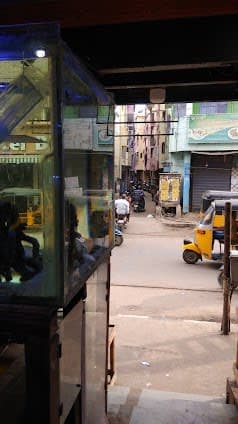 The Marina Beach Aquarium