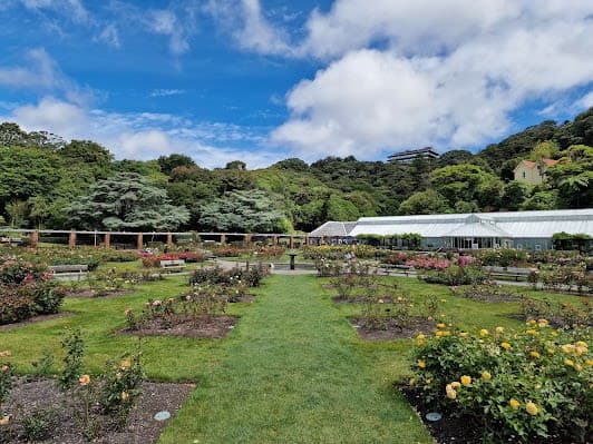 Wellington Botanic Garden