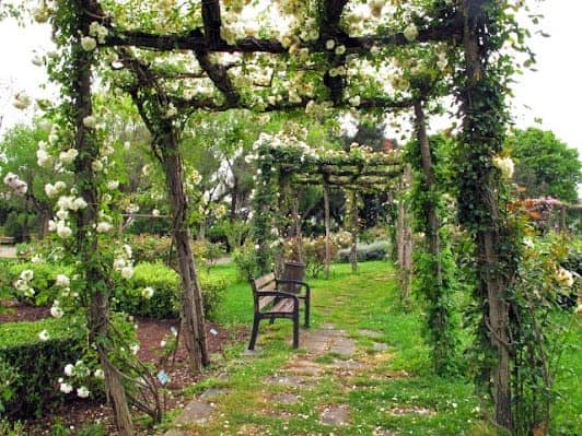 Parc de Cervantes photo 2