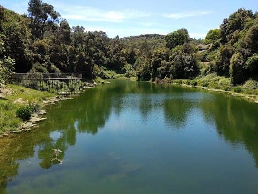 Parc Natural de la Serra de Collserola photo 7