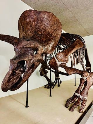 National Museum of Natural History Goulandris