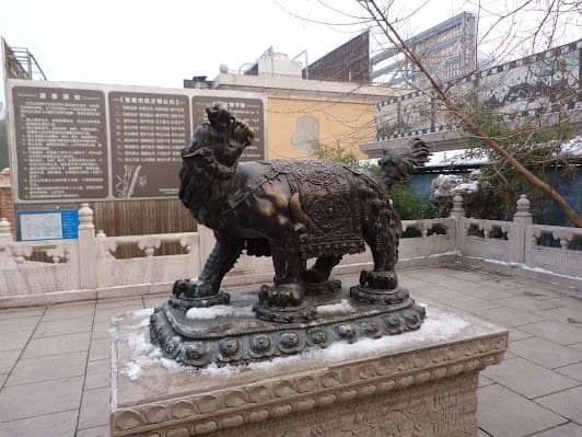 Beijing Zoo photo 5