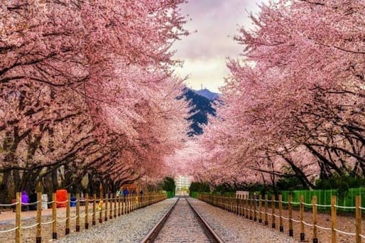 潘家园古玩市场 photo 6