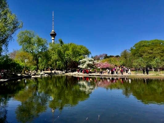 潘家园古玩市场 photo 7