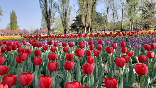 Beijing Botanical Garden photo 2