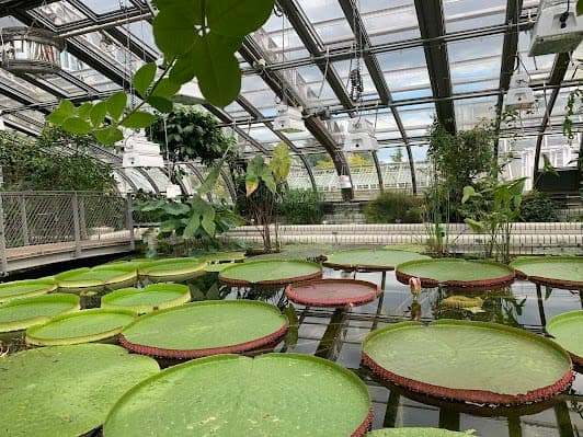 Botanical Garden and Botanical Museum