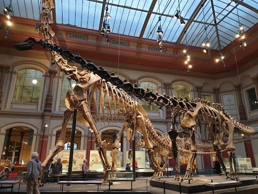 Museum für Naturkunde Berlin
