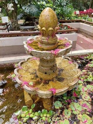 Jardim Botânico photo 5