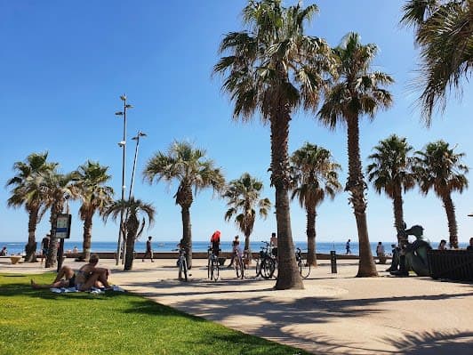 St Kilda beach