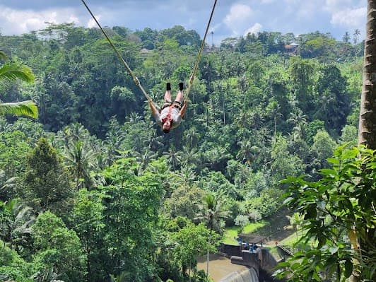 Real Bali Swing