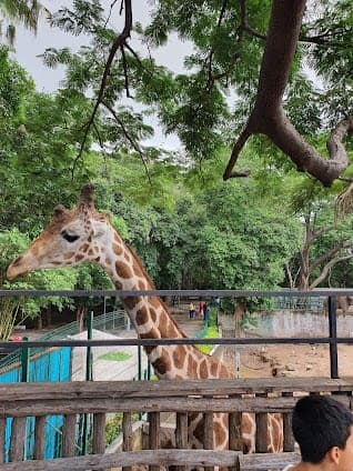 Parque Constitución