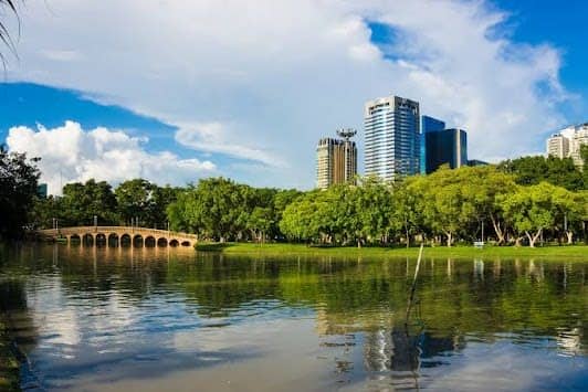 Chatuchak Park photo 6