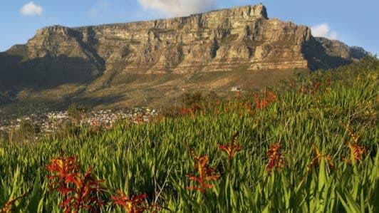 Table Mountain Aerial Cableway