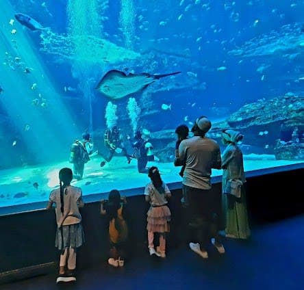 Two Oceans Aquarium