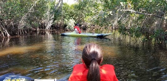 Oscar Scherer State Park