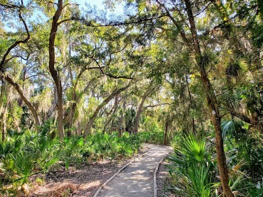 Oscar Scherer State Park photo 2