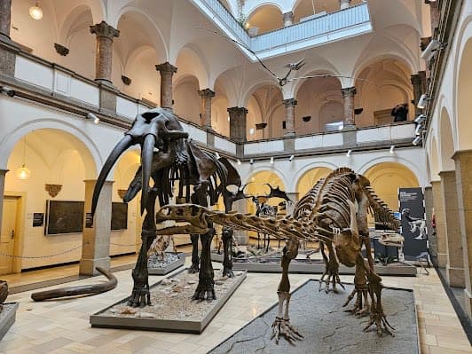 Palaeontological Museum, Munich