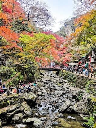 Minoh Park photo 7