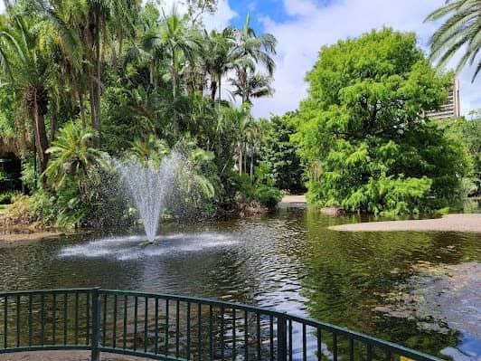City Botanic Gardens photo 7